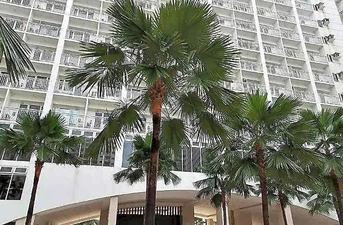 Shore One Condotel At Mall Of Asia, Philippines